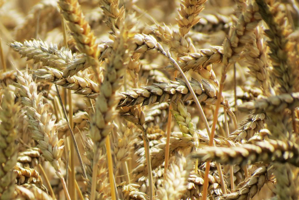 Impresion de Lonas